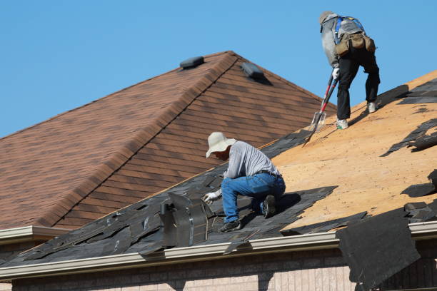 Best Roof Maintenance and Cleaning  in Newport, AR